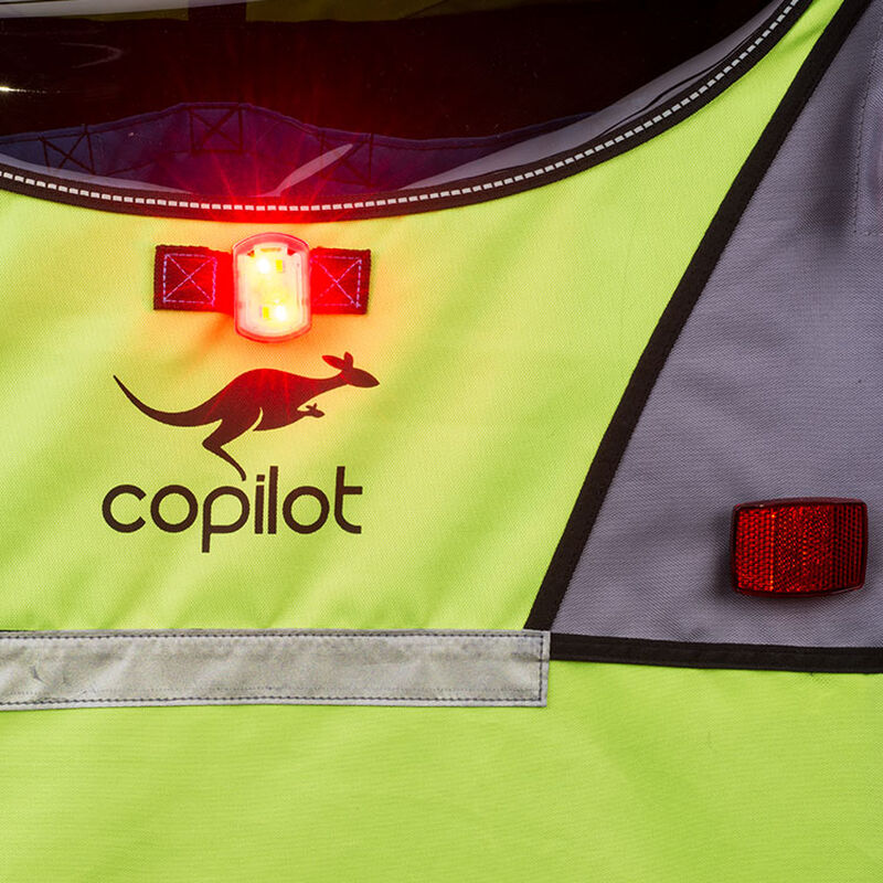 Model T Child Bicycle Trailer & Stroller Conversion Kit Copilot