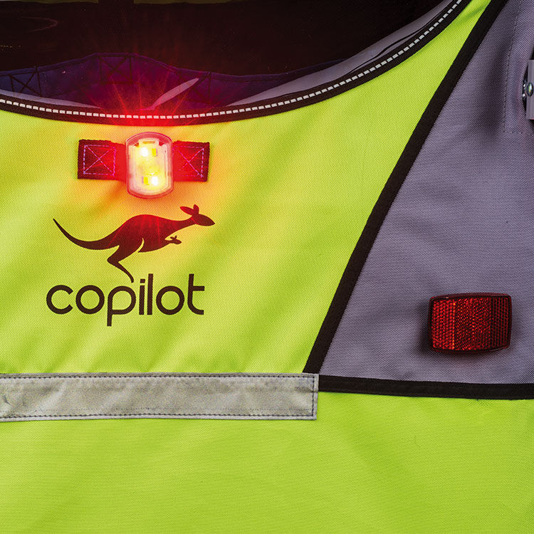 Copilot model a double bike trailer outlet