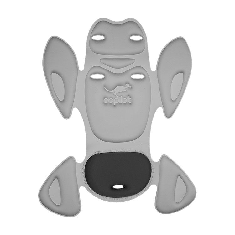 Copilot limo deals